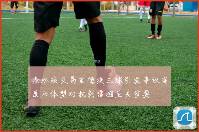 森林狼交易里德换三球引发争议高度和体型对抗刺雷掘至关重要